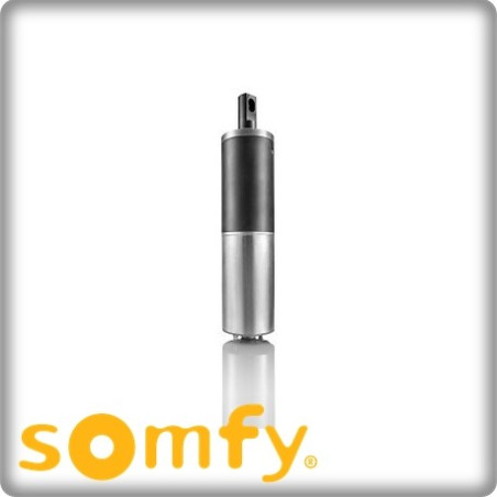 Motorisation portail intégrée- INVISO SOMFY