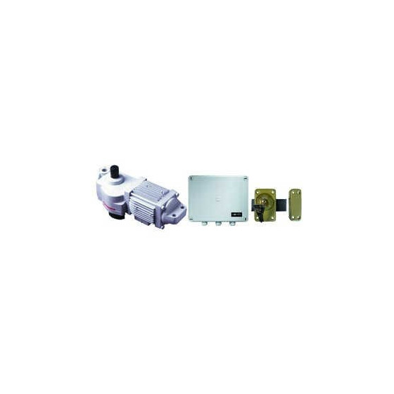 Installation de motorisation à bras pour portails battants-SOMFY