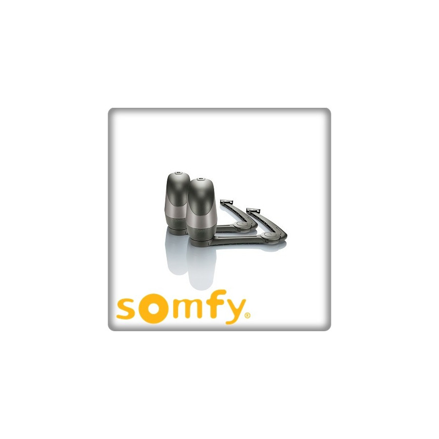 Installation de motorisation à bras pour portails battants-SOMFY